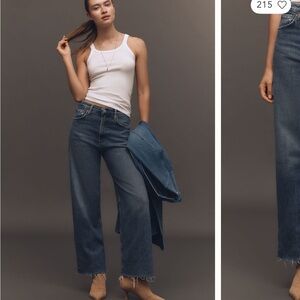 Agolde ren wide leg jean 25